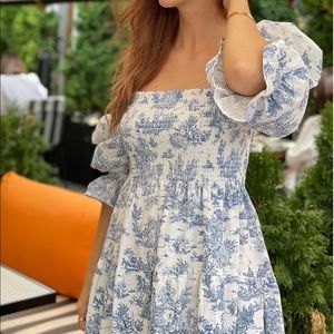 Nothing fits but blue toile dress